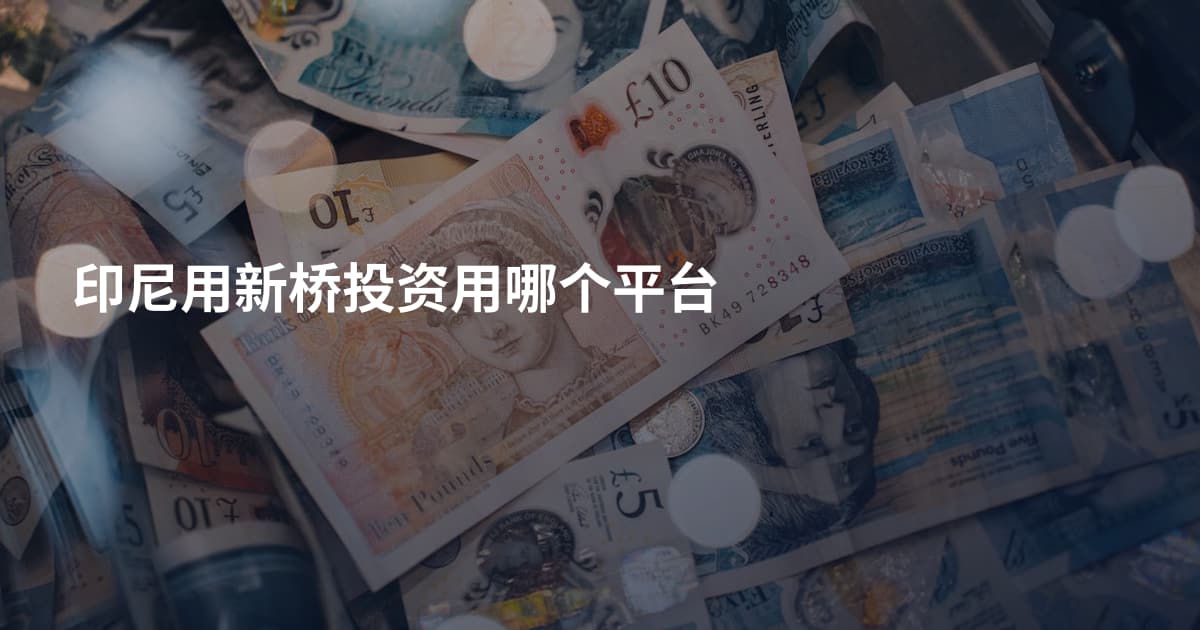 印尼用新桥投资用哪个平台