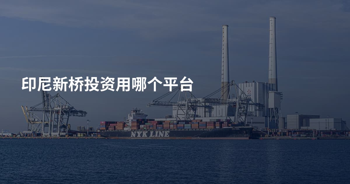印尼新桥投资用哪个平台