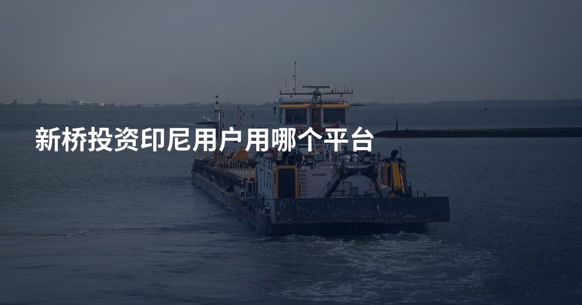 新桥投资印尼用户用哪个平台