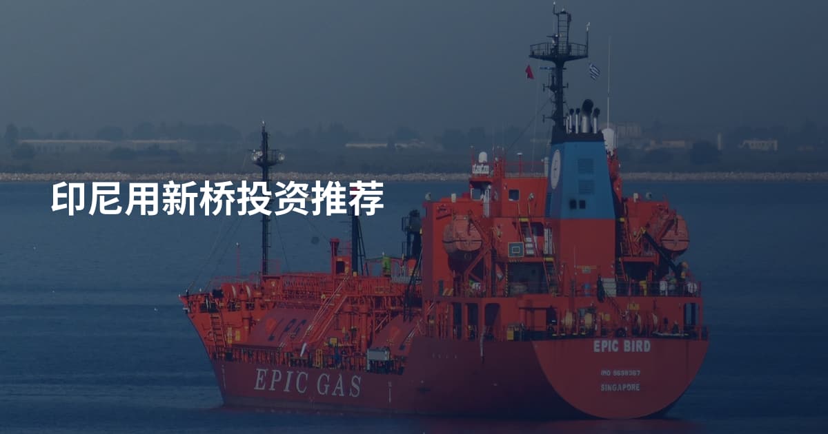 印尼用新桥投资推荐