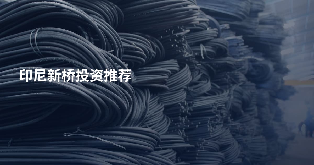 印尼新桥投资推荐
