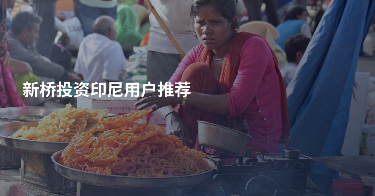 新桥投资印尼用户推荐