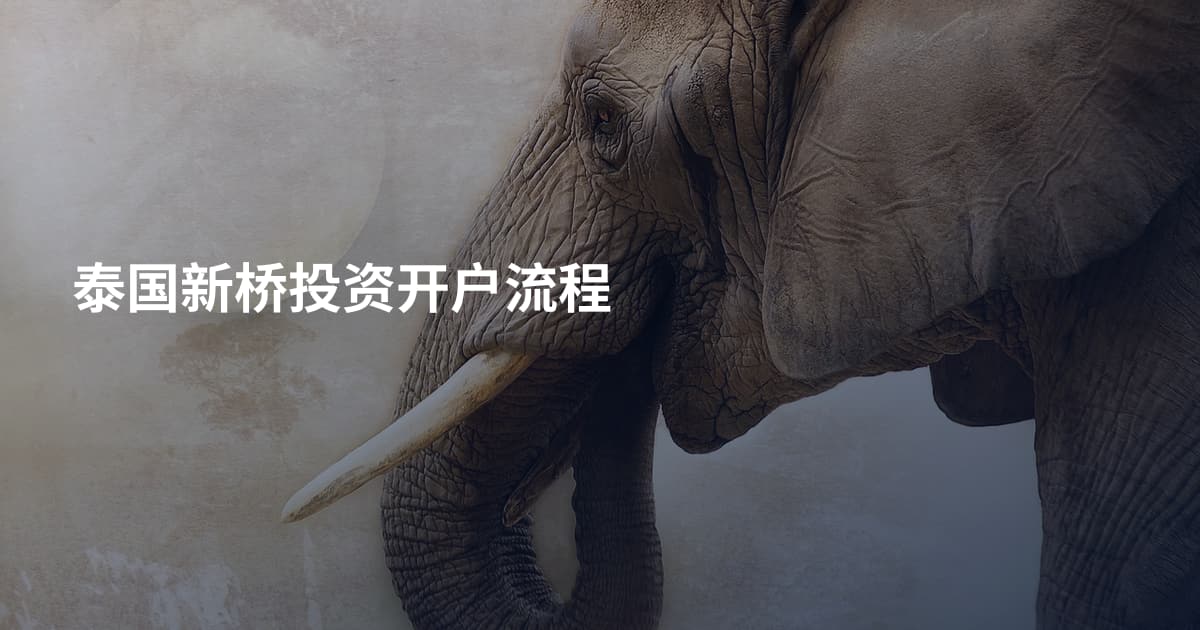 泰国新桥投资开户流程