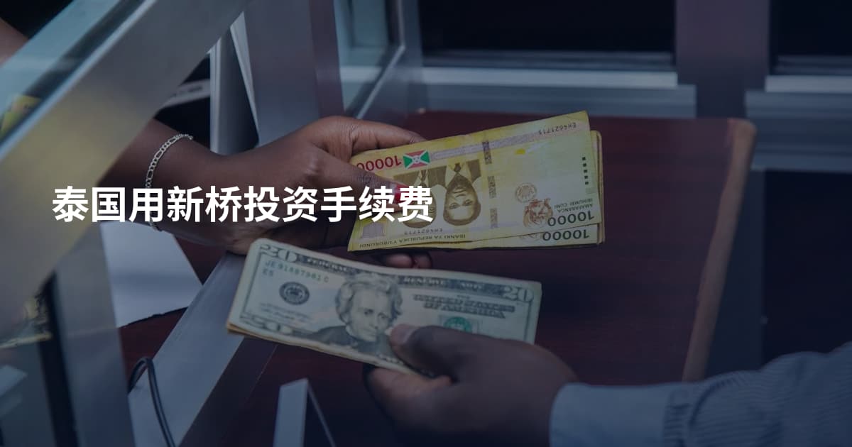泰国用新桥投资手续费