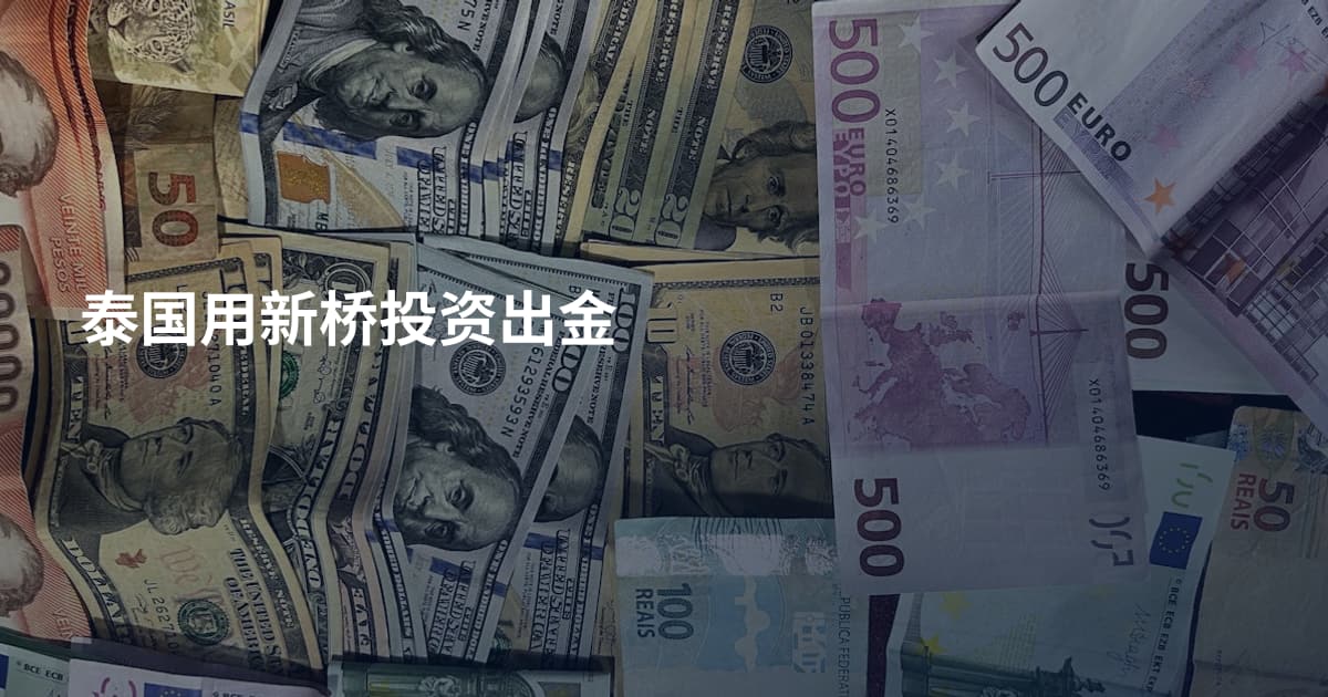 泰国用新桥投资出金