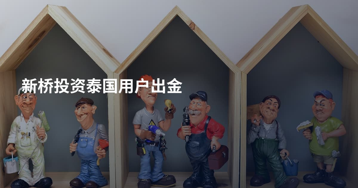 新桥投资泰国用户出金