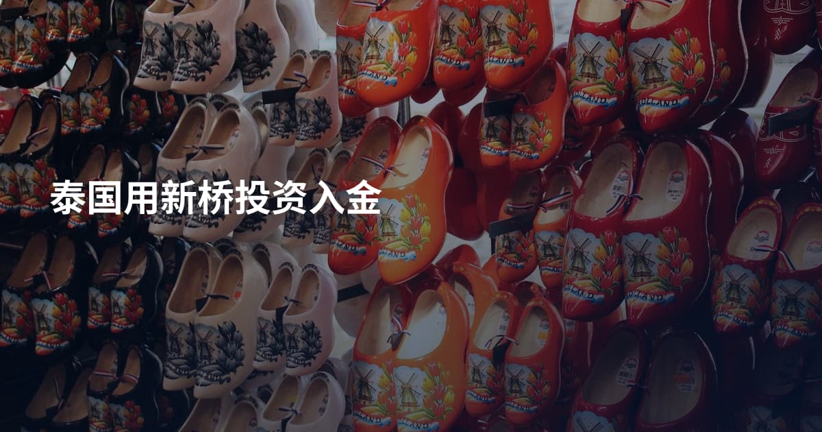 泰国用新桥投资入金