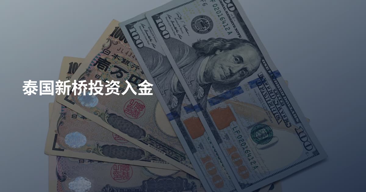 泰国新桥投资入金
