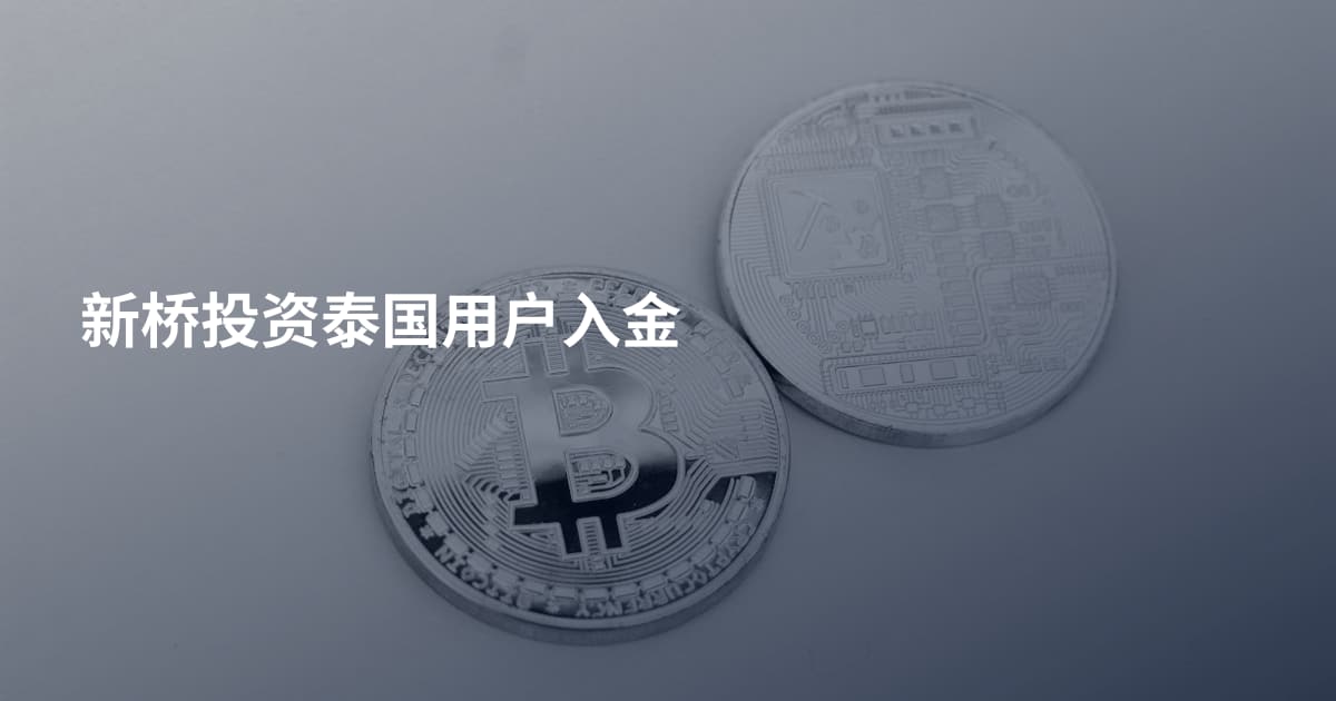 新桥投资泰国用户入金