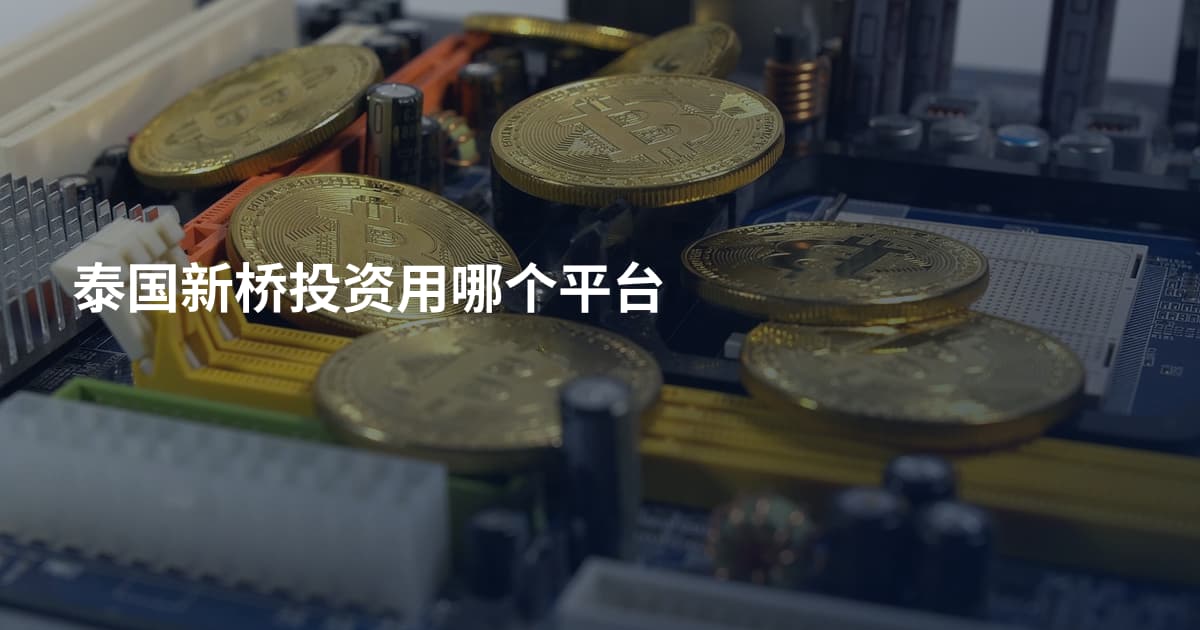 泰国新桥投资用哪个平台