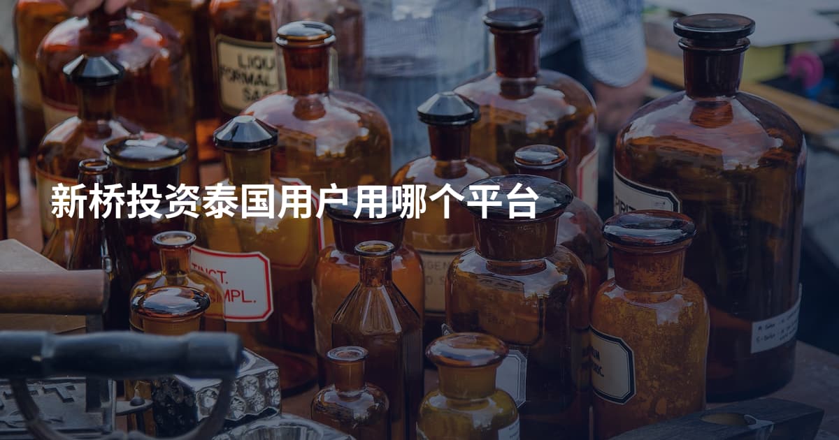 新桥投资泰国用户用哪个平台