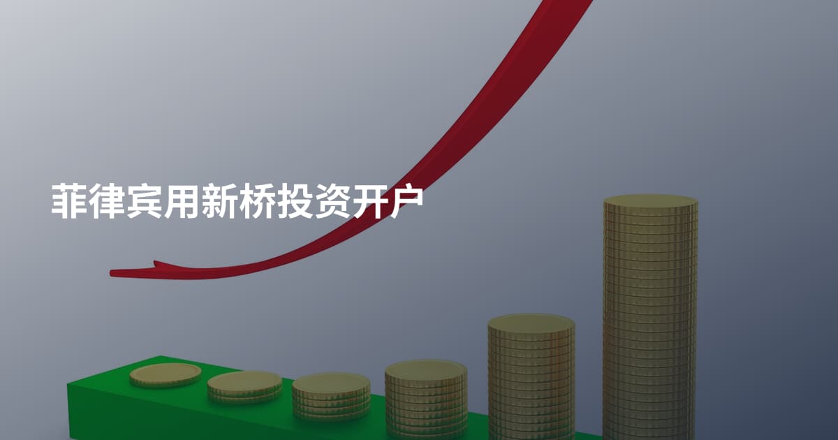 菲律宾用新桥投资开户