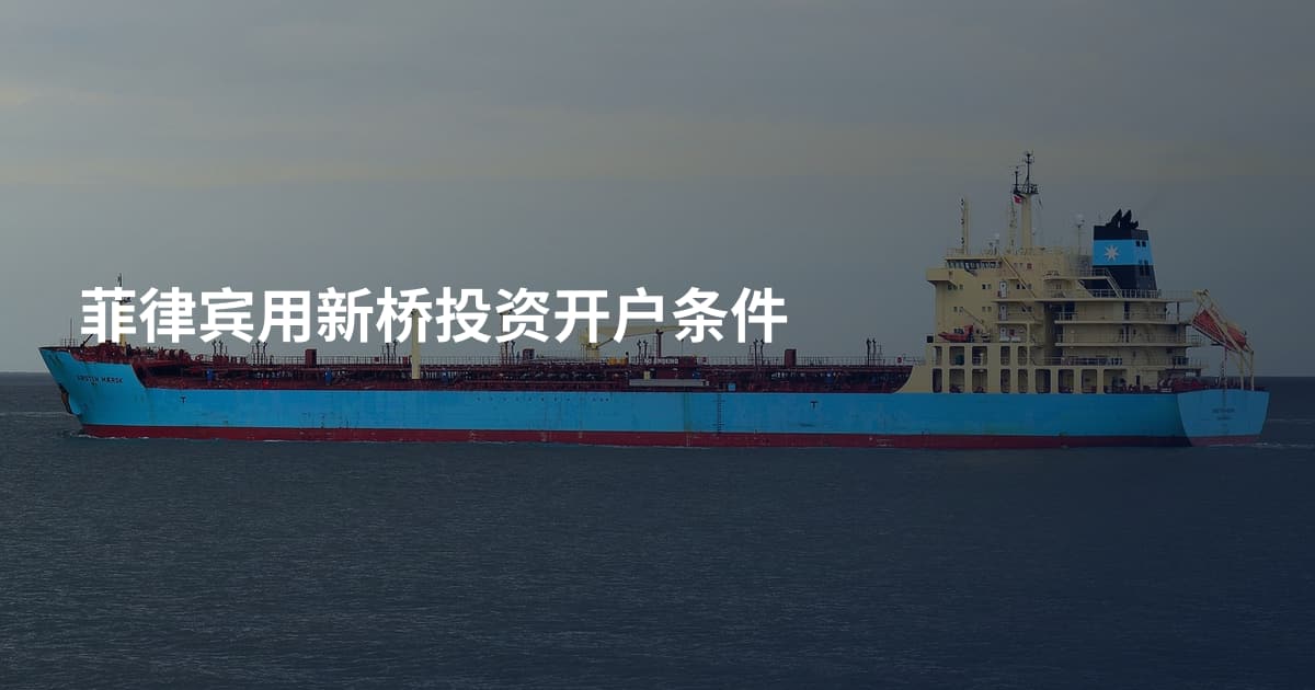 菲律宾用新桥投资开户条件