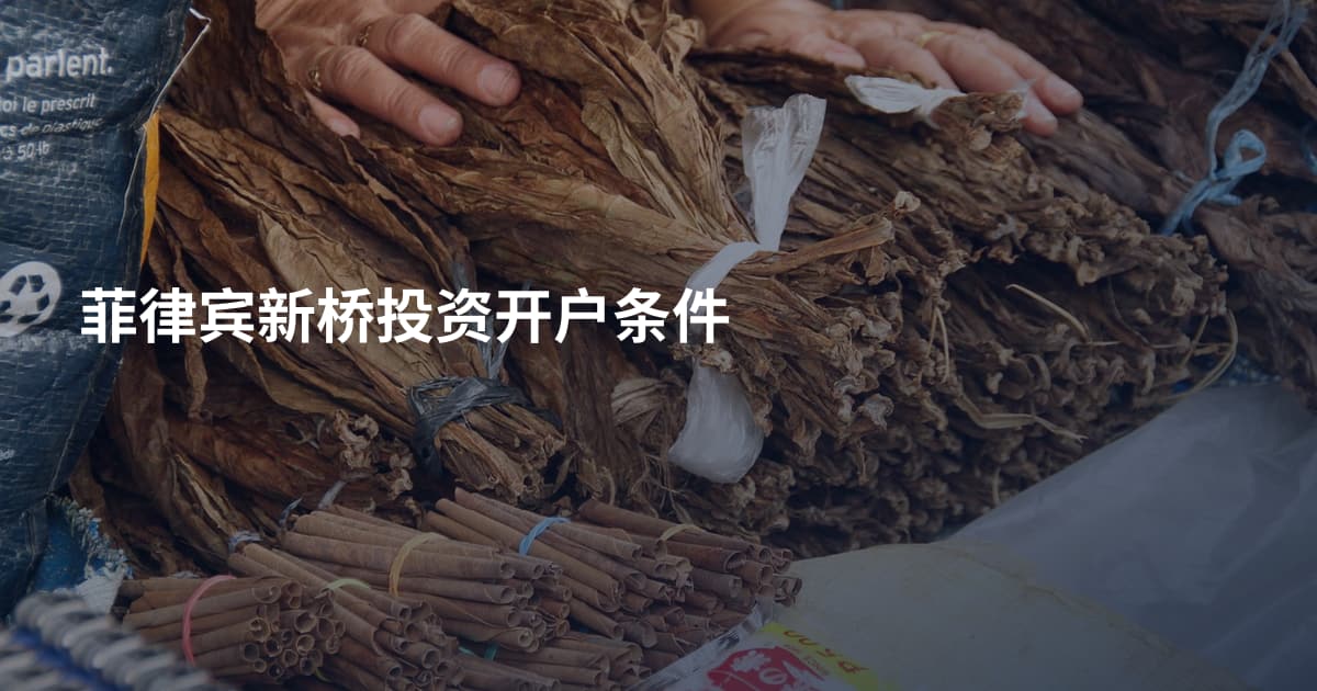菲律宾新桥投资开户条件