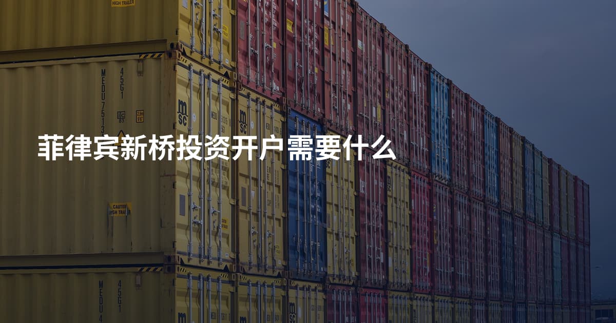 菲律宾新桥投资开户需要什么
