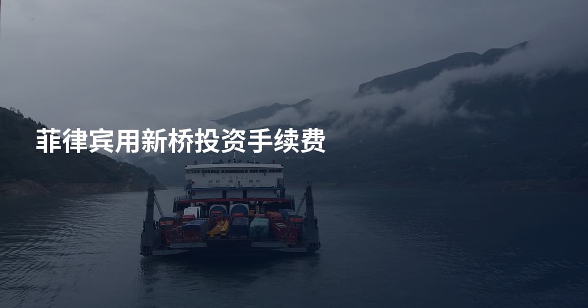 菲律宾用新桥投资手续费