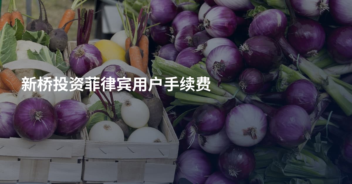 新桥投资菲律宾用户手续费