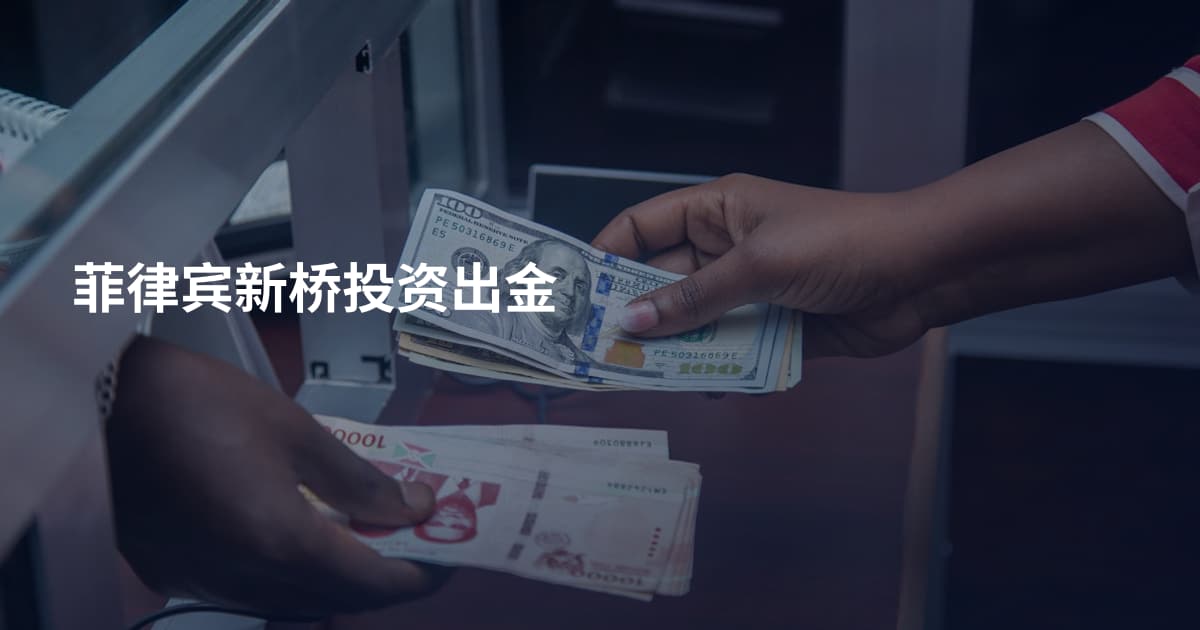 菲律宾新桥投资出金