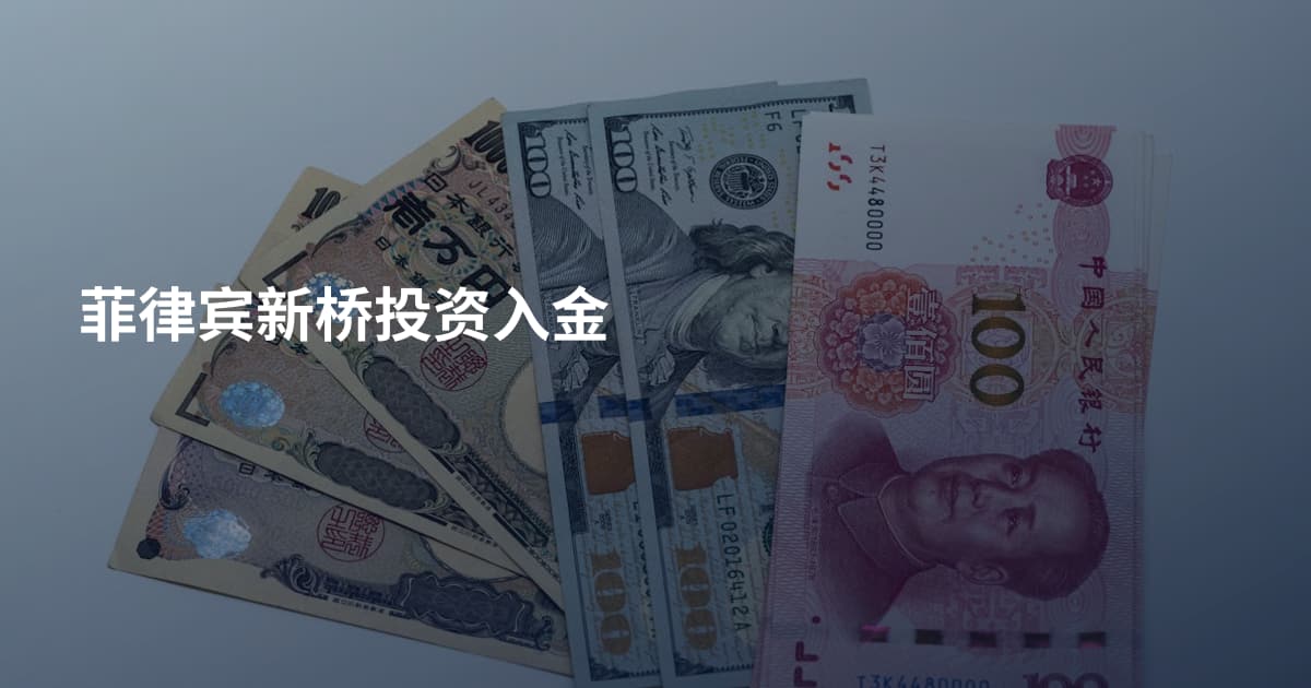 菲律宾新桥投资入金