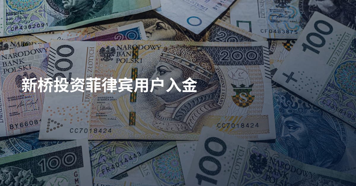新桥投资菲律宾用户入金