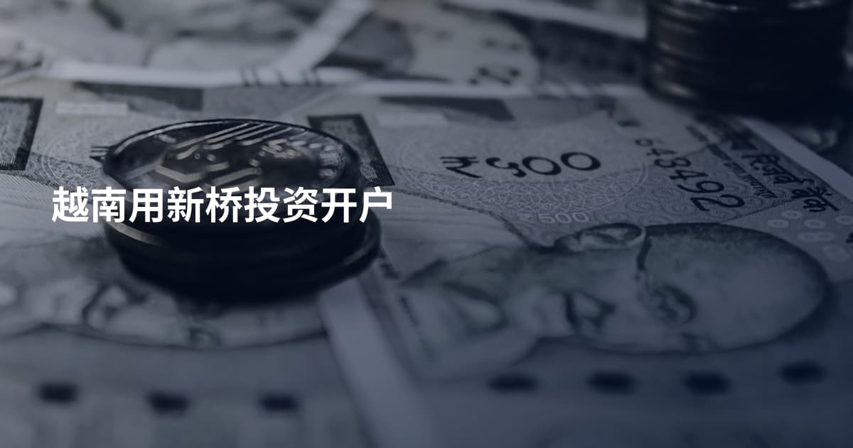越南用新桥投资开户