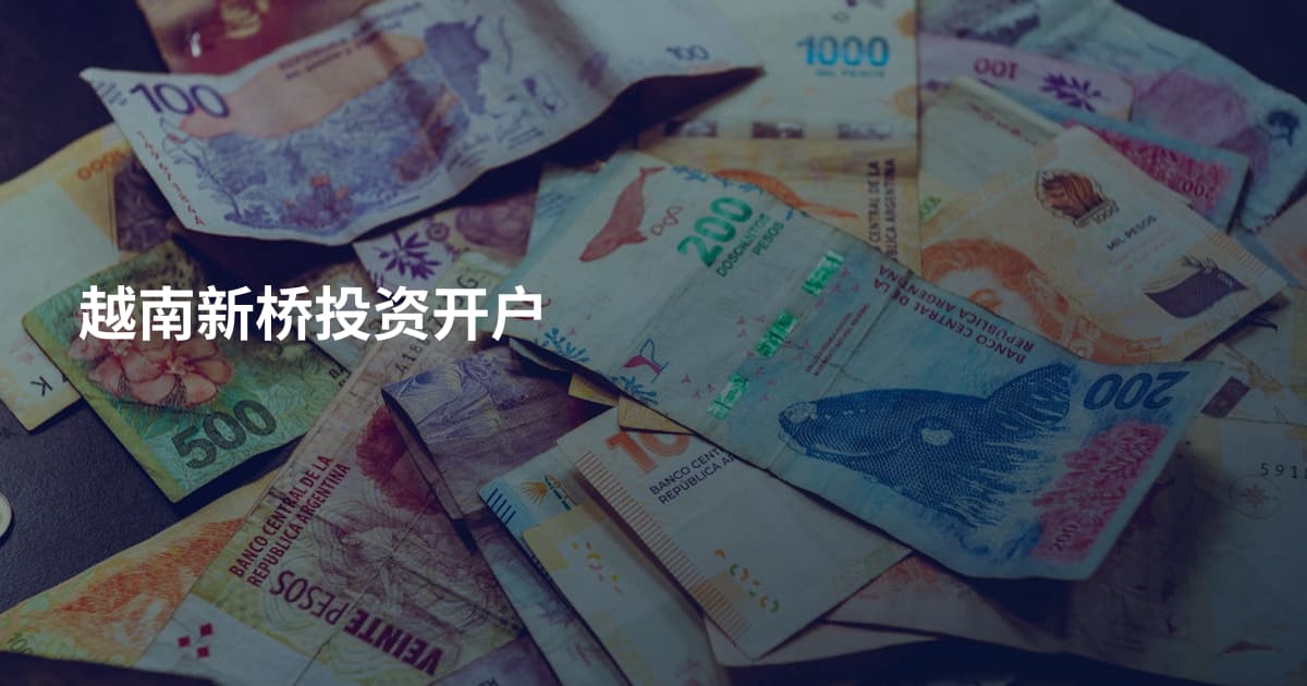 越南新桥投资开户