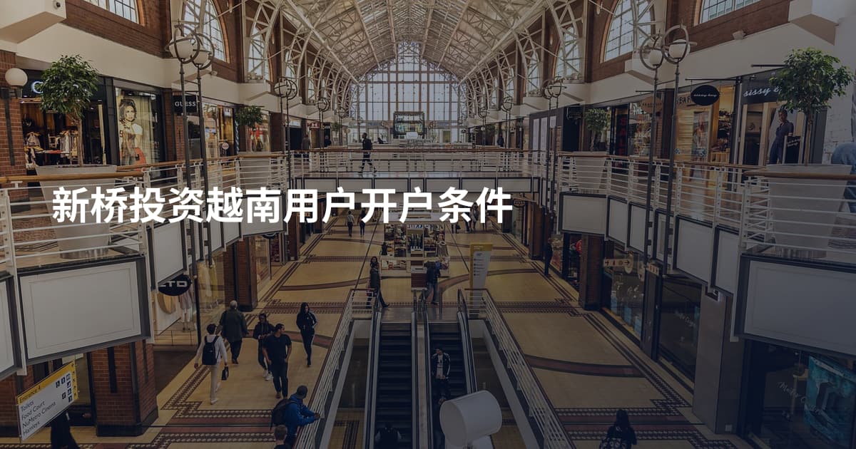 新桥投资越南用户开户条件