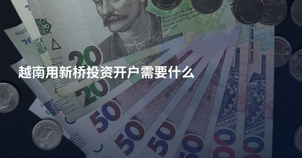 越南用新桥投资开户需要什么