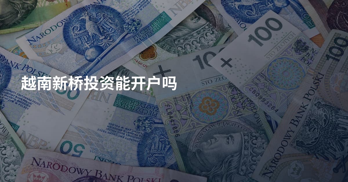 越南新桥投资能开户吗