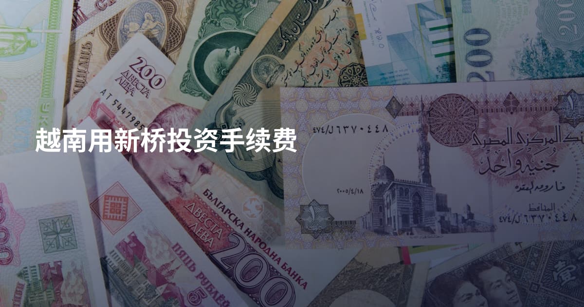 越南用新桥投资手续费