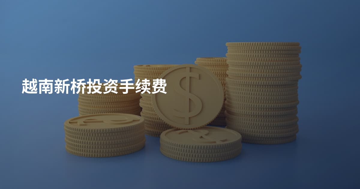 越南新桥投资手续费