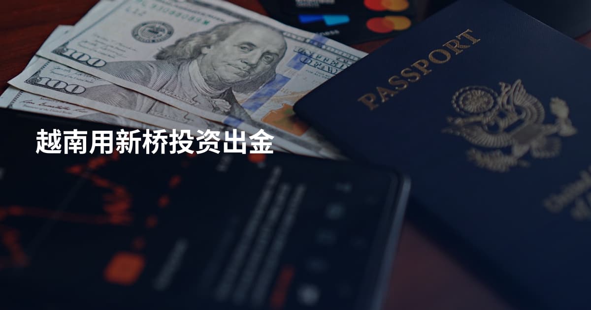 越南用新桥投资出金