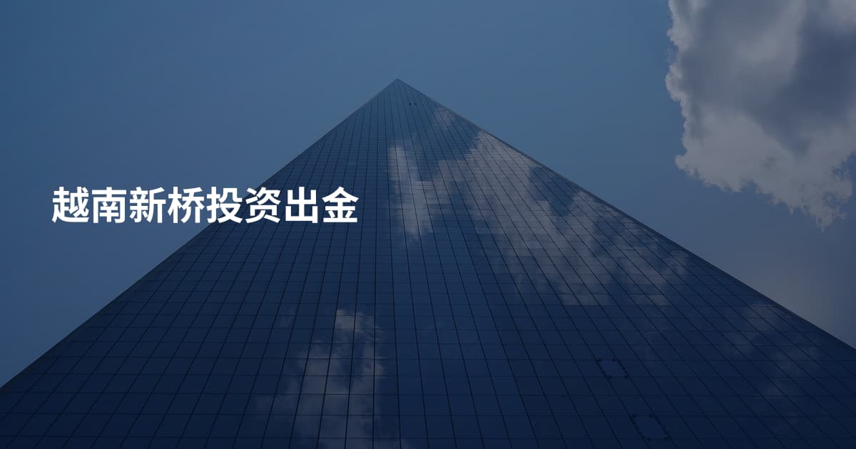 越南新桥投资出金
