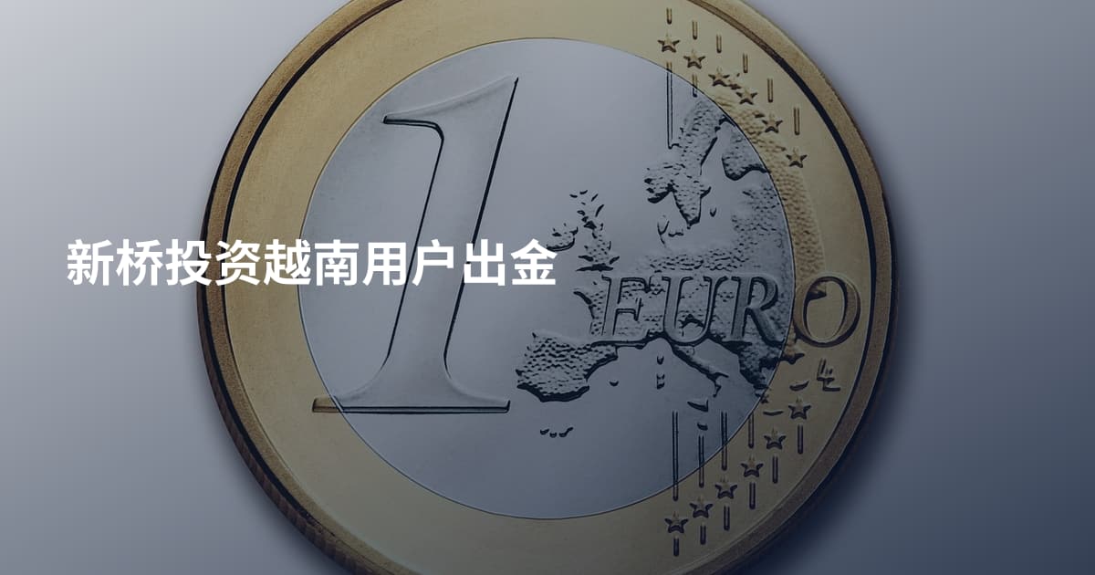 新桥投资越南用户出金