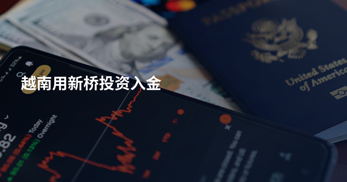 越南用新桥投资入金