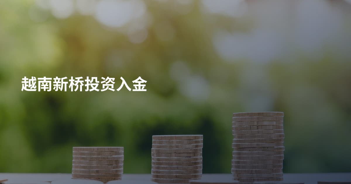 越南新桥投资入金