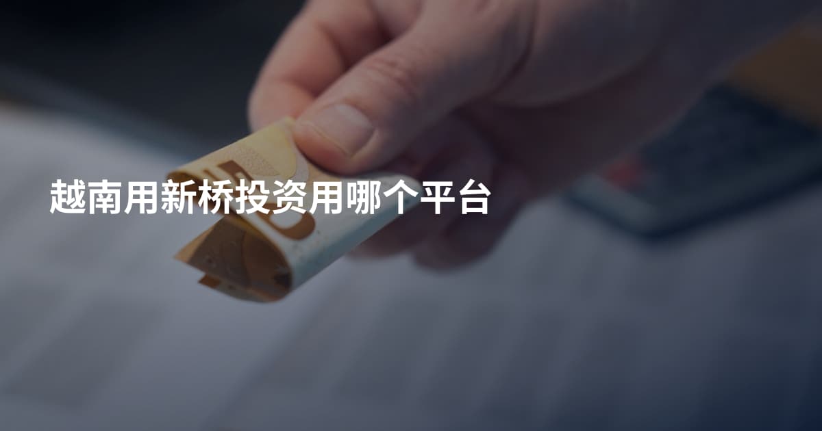 越南用新桥投资用哪个平台