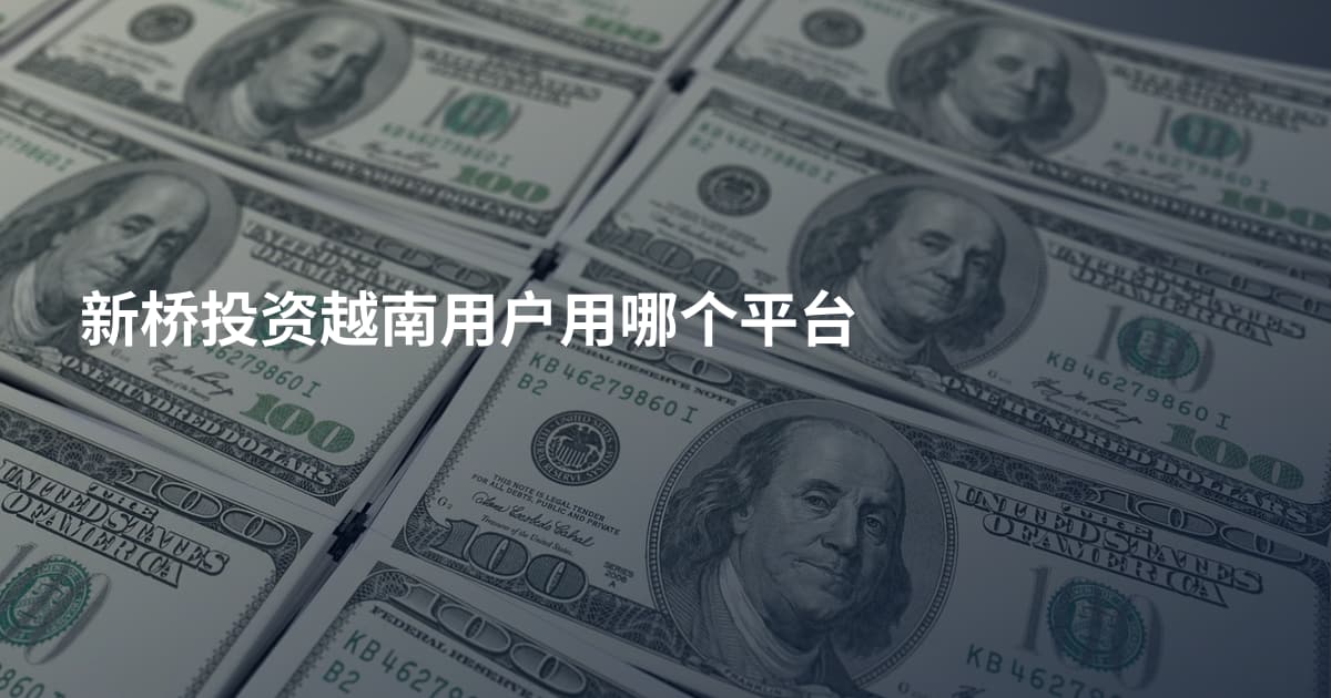 新桥投资越南用户用哪个平台