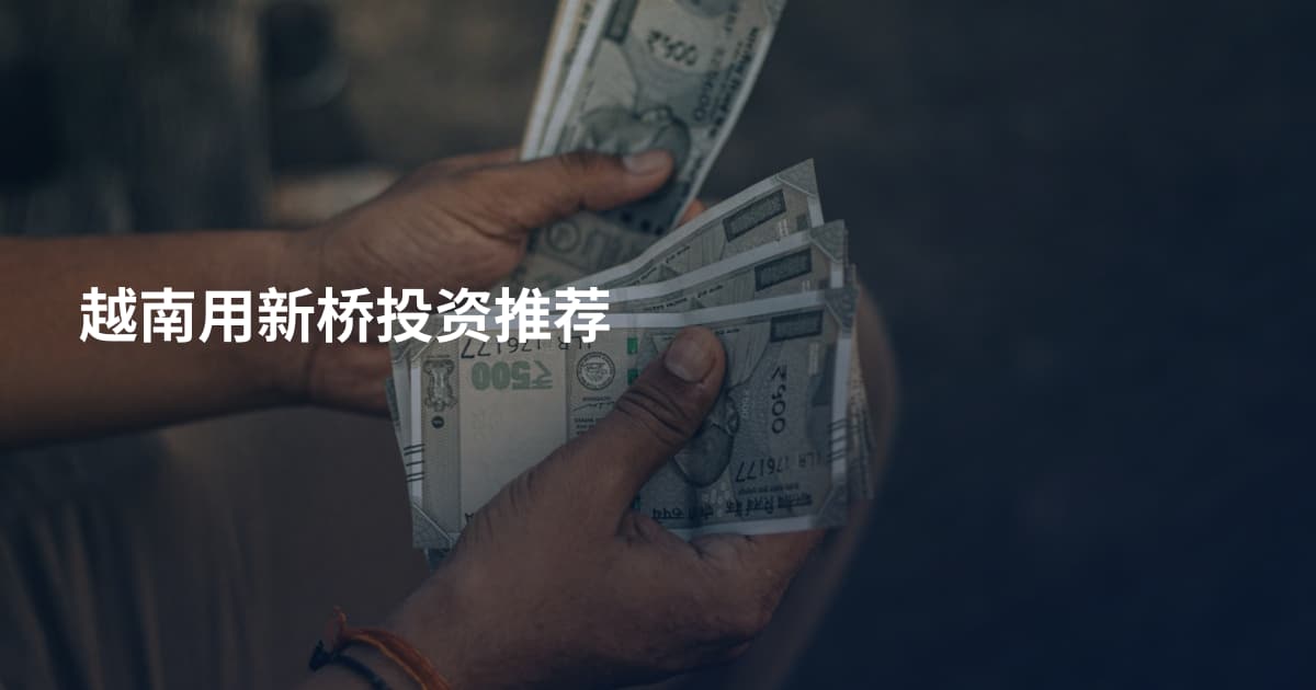 越南用新桥投资推荐