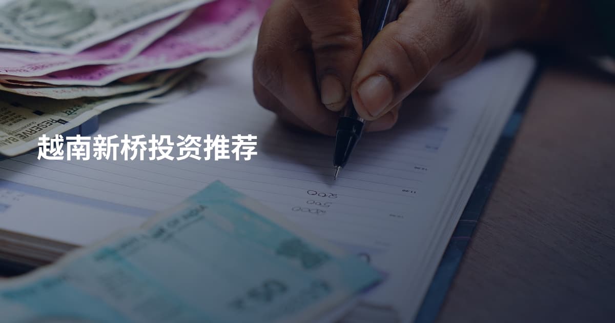 越南新桥投资推荐