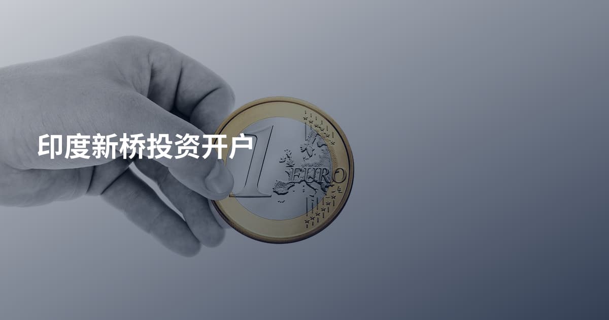 印度新桥投资开户