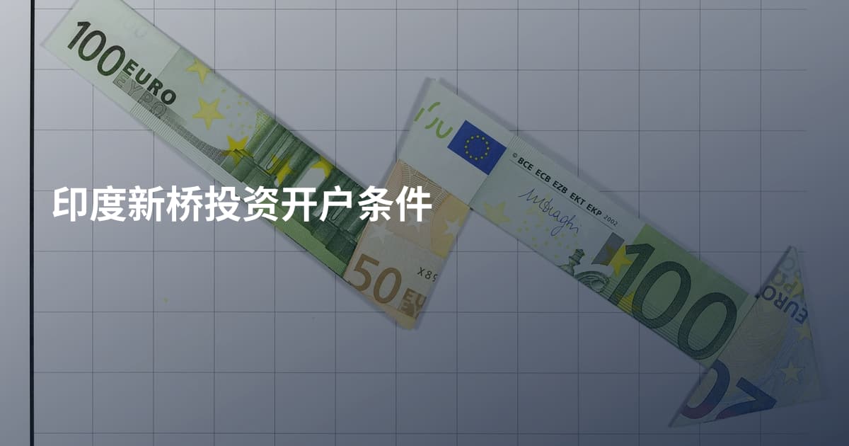 印度新桥投资开户条件