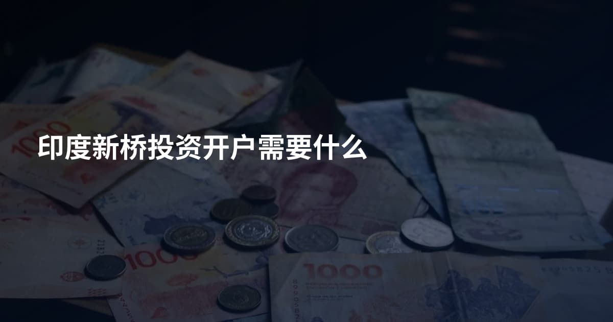 印度新桥投资开户需要什么