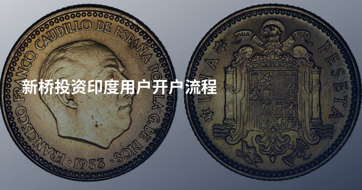 新桥投资印度用户开户流程