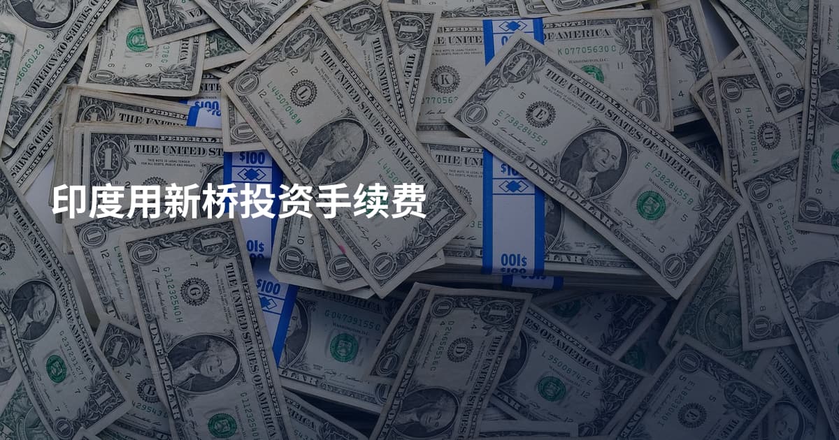 印度用新桥投资手续费