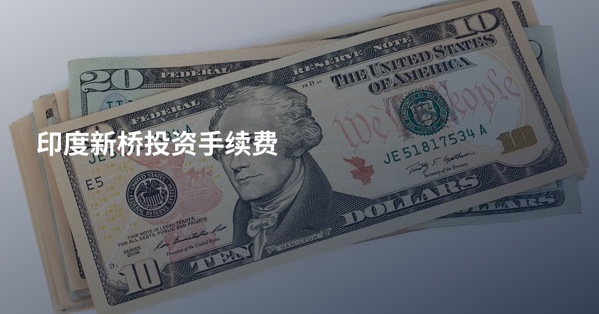 印度新桥投资手续费