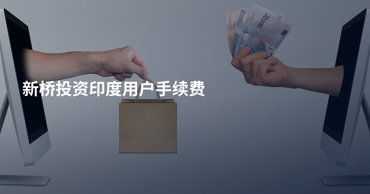 新桥投资印度用户手续费