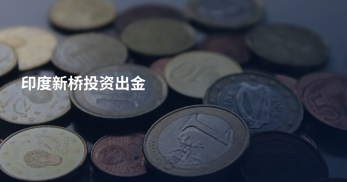印度新桥投资出金