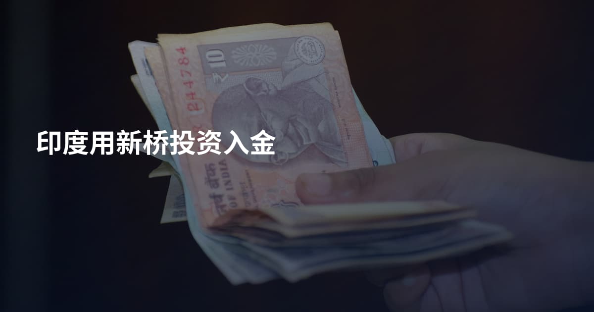 印度用新桥投资入金