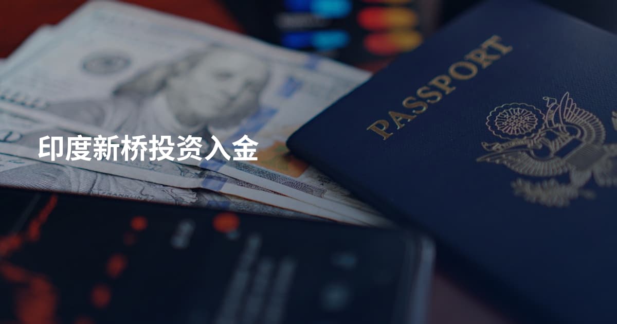 印度新桥投资入金
